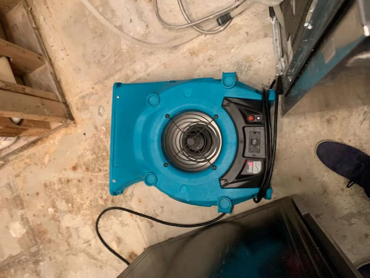 Air mover drying equipment for Mold Remediation & Removal in Jamestown
